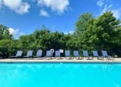 Thumbnail 25 of 39 - Shoreline landing apartment pool and lounge
