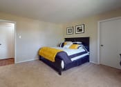 Thumbnail 3 of 13 - Cozy Apartment Bedroom with Carpeting