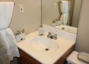 Thumbnail 17 of 31 - a bathroom with a sink and a mirror