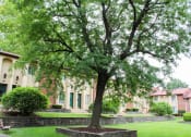 Thumbnail 25 of 31 - a large tree in a grassy area in front of a building