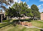 Thumbnail 25 of 35 - A tree in a grassy area with a brick fence.