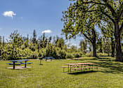 Thumbnail 8 of 16 - Picnic tables are set up in a grassy area with trees in the background.