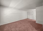 Thumbnail 7 of 25 - apartment with carpeting