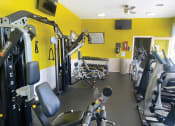 Thumbnail 12 of 16 - a gym with weights and cardio equipment in a home gym