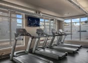 Thumbnail 18 of 34 - a gym with four treadmills and a large window