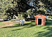 Thumbnail 25 of 32 - A dog is standing in front of a small red building.