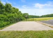 Thumbnail 19 of 27 - a basketball court in the middle of a field