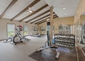 Thumbnail 16 of 27 - a gym with a lot of exercise equipment in it