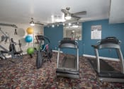Thumbnail 21 of 26 - a gym with exercise equipment and a ceiling fan