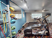 Thumbnail 15 of 35 - A gym with a row of treadmills and exercise balls on the wall.