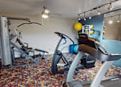 Thumbnail 16 of 35 - A gym room with a rowing machine and a stationary bike.