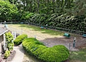 Thumbnail 15 of 26 - A backyard with a fence, a green hedge, and a baseball diamond.