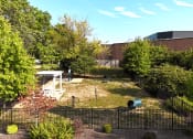 Thumbnail 12 of 20 - apartment community with dog park