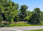 Thumbnail 28 of 35 - A dog park shaded by trees.