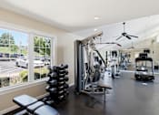 Thumbnail 15 of 35 - A gym with a view of a parking lot through the window.