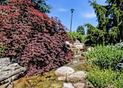 Thumbnail 23 of 35 - A garden with a stream and rocks.