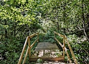 Thumbnail 22 of 35 - A wooden bridge crosses a small stream in a lush green forest.