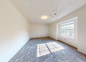 Thumbnail 14 of 35 - A sunny room with a carpet and a window.