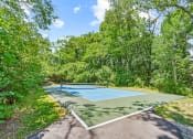 Thumbnail 23 of 31 - tennis and pickleball court with trees in the background