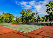 Thumbnail 26 of 27 - A tennis court with a green and red surface surrounded by trees.