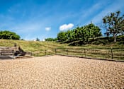 Thumbnail 17 of 26 - pet friendly community with dog park on-site