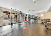 Thumbnail 26 of 35 - A gym with a variety of equipment including a squat rack, a bench, and a barbell.