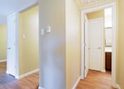 Thumbnail 23 of 35 - A hallway with white doors and yellow walls.