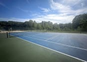 Thumbnail 30 of 34 - a tennis court on a sunny day with trees