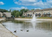 Thumbnail 10 of 14 - a fountain in a pond with ducks in front of an apartment building