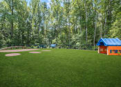 Thumbnail 8 of 32 - a large yard with a playground and a small house