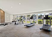 Thumbnail 28 of 33 - modern fitness center with free weights and treadmills