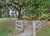 Thumbnail 10 of 33 - fenced dog park at Ashley River