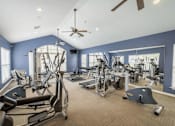 Thumbnail 8 of 21 - the gym in the owners suite is equipped with cardio equipment and weights