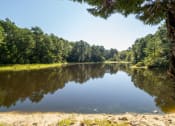 Thumbnail 33 of 35 - a small lake with trees on the other side of it