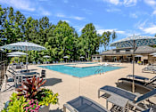 Thumbnail 1 of 52 - A large swimming pool surrounded by lounge chairs and umbrellas.