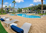 Thumbnail 11 of 27 - Side view of a pool surrounded by different sun loungers and palm trees.