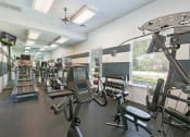 Thumbnail 22 of 24 - Gym at Brookdale Lakes, Naperville, IL