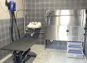 Thumbnail 15 of 19 - Dog spa at Elevate Apartments, Wisconsin, 53718