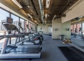 Thumbnail 30 of 41 - an image of a gym with treadmills and other exercise equipment