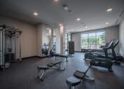 Thumbnail 12 of 34 - a gym with weights and exercise equipment and a window