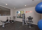 Thumbnail 23 of 37 - Fusion 35 gym room with a blue exercise ball and a mirror on the wall.