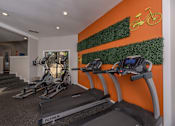 Thumbnail 22 of 37 - Fusion 35 gym with treadmills and exercise bikes.