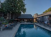 Thumbnail 14 of 37 - Fusion 35 pool surrounded by lounge chairs and umbrellas.