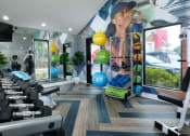 Thumbnail 31 of 60 - Fusion Orlando apartment fitness center with dumbbells and bodyweight equipment next to large windows looking out to parking lot.