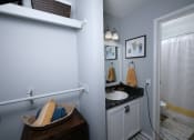 Thumbnail 18 of 43 - Fusion Fort Worth studio apartment bathroom with single sink and separate room for bathtub and toilet. Closet area next to sink with two curtain rods.