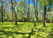 Thumbnail 49 of 49 - Outdoor dog area at The Retreat apts at Indian Lake in Hendersonville with pet waste station in the middle of grassy field with tall trees.