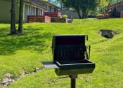 Thumbnail 47 of 49 - view from barbecue at The Retreat at Indian Lake in Hendersonville: apartments buildings in lush green field with small drainage pipe.