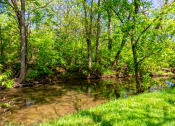 Thumbnail 38 of 49 - The Retreat at Indian Lake apartment complex grounds with shallow creek lined by tall green grass and local native trees.