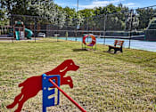 Thumbnail 26 of 32 - A dog jumping over a hurdle in a pet park.