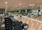 Thumbnail 9 of 18 - Fusion Hollywood Apartments in Hollywood with fitness center featuring a variety of equipment including weights and treadmills.